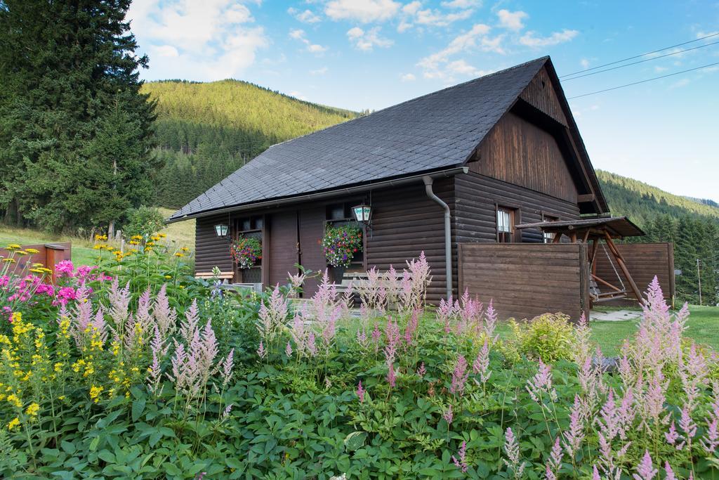 Gasthof Draxlerhaus Хоэнтауэрн Экстерьер фото